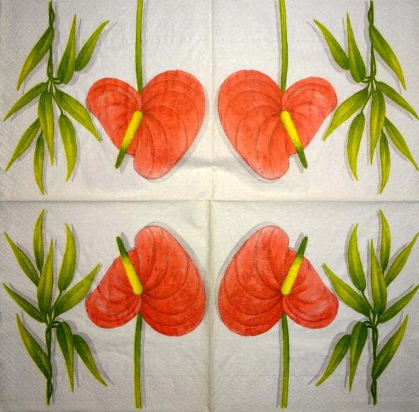 305 Flowers Others - 3-ply - Paper Design